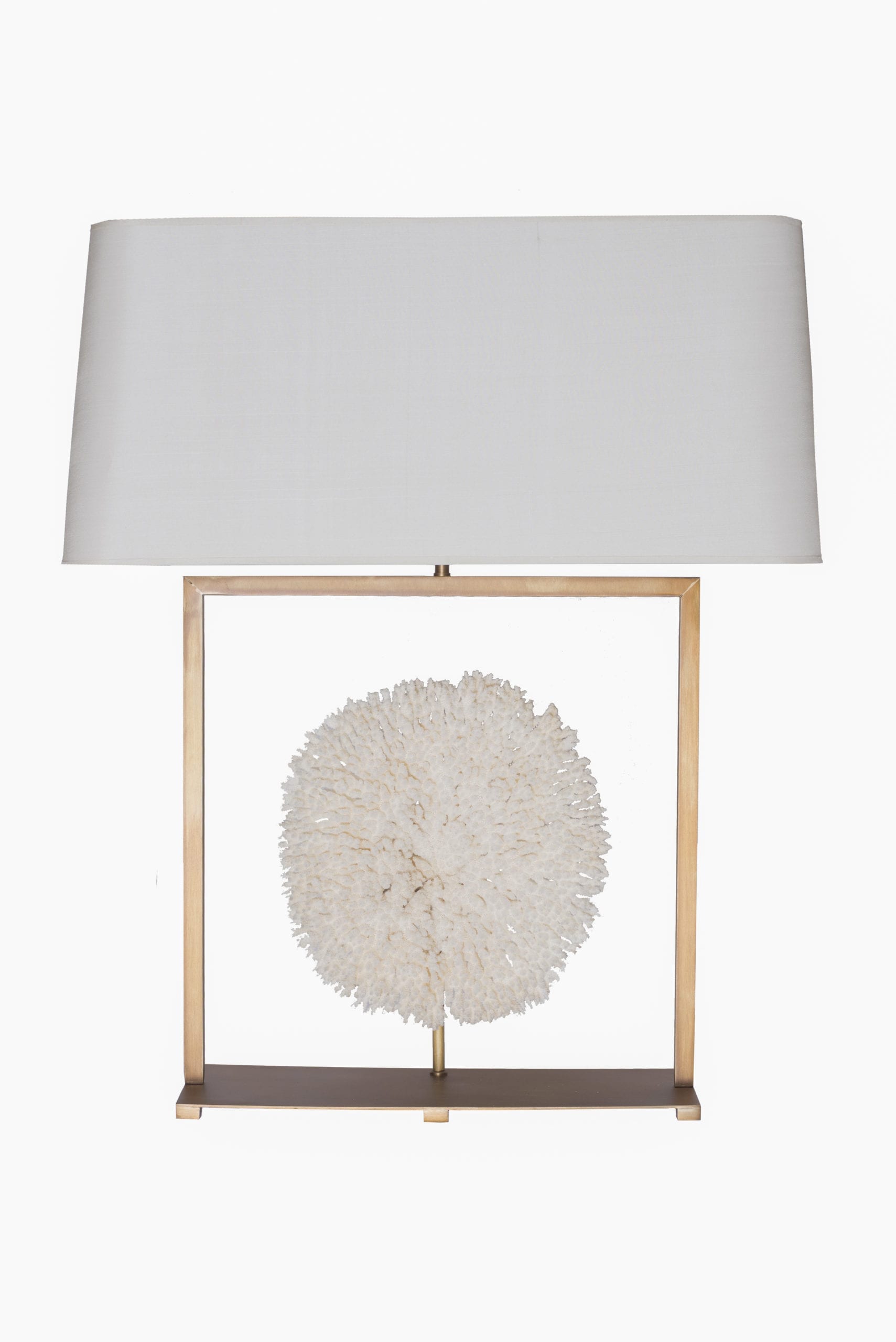 NAXOS WITH A FRAMED TABLE CORAL
