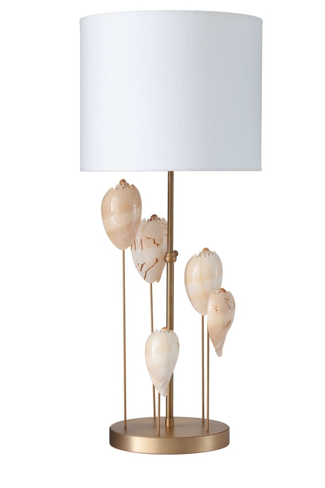 AMALFI WITH MELO DIADEMA SHELLS